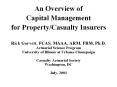 An Overview of Capital Management for Property/Casualt
