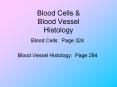 Blood Cells & Blood Vessel Histology Blood Cells: Page 32