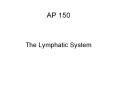 AP 150 The Lymphatic System The lymphatic system consists o