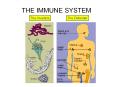 the immune system the invaders the defender components o