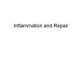 Inflammation and Repair Dehiscence Hypersensitivit