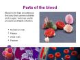 Parts of the blood Blood is the fluid circulating in th