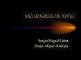 MEDIDORES DE NIVEL Sergio Miguel Labat Sergio Miguel Rodrig