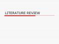 LITERATURE REVIEW Dr. Lili Ann SMM4999 - Literature Review 