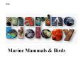 009b Marine Mammals & Birds Marine mammals Characteristic
