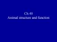 Ch.40 Animal structure and function A. Body Plans and th