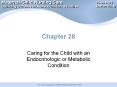 Chapter 28 Caring for the Child with an Endocrinologic o