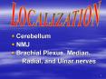 Cerebellum NMJ Brachial Plexus, Median, Radial, and Ulna