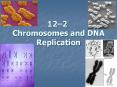 12 2 Chromosomes and DNA Replication Prokaryotic DN