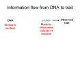Information flow from DNA to trait Observed trait DN