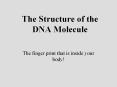 The Structure of the DNA Molecule The finger print that i