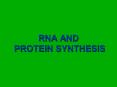 RNA AND PROTEIN SYNTHESIS How your cell makes very importan