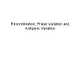 Recombination, Phase Variation and Antigenic Variation Wh