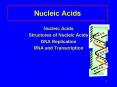 Nucleic Acids Nucleic Acids Structures of Nucleic Acids DN