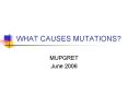 WHAT CAUSES MUTATIONS? MUPGRET June 2006 OVERVIEW Cause