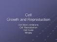 Cell Growth and Reproduction Cell Size Limitations Cel