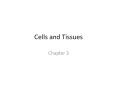 Cells and Tissues Chapter 3 Epithelial Tissues Location