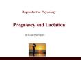 Reproductive Physiology Pregnancy and Lactation Dr. Khali