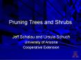 Pruning Trees and Shrubs Jeff Schalau and Ursula Schuc