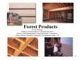 Forest Products Dr. David Briggs Professor, Forest product
