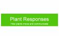 How plants move and communicate Action of phytochrome o