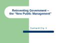 Reinventing Government   the  New Public Management
