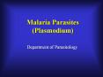 Malaria Parasites (Plasmodium) Department of Parasitolog
