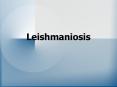 Leishmaniosis COMPLEJOS DONOVANI: par sitos del SRE de bazo
