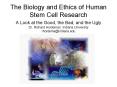 The Biology and Ethics of Human Stem Cell Research A Look a