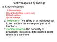 Plant Propagation by Cuttings a. Kinds of cuttings 1) Ste