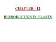 CHAPTER - 12 REPRODUCTION IN PLANTS 1) Reproduction :