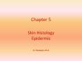 Chapter 5 Skin Histology Epidermis J.F. Thompson, Ph.D. Th