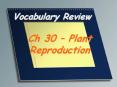 Vocabulary Review Ch 30   Plant Reproduction * * * * * * * 