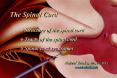 The Spinal Cord   Structure of the spinal cord Tracts of th
