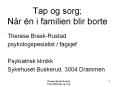 Tap og sorg; N r  n i familien blir borte Theres