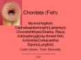 What we call  fish  only apply to one clade of vertebrates 
