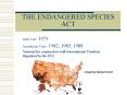 THE ENDANGERED SPECIES ACT Draft Year: 1973 Amendment Year