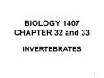 BIOLOGY 1407 CHAPTER 32 and 33 INVERTEBRATES EMBRYOLOG