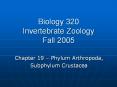 Biology 320 Invertebrate Zoology Fall 2005 Chapter 19 