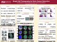 Single Cell Tomography for Early Cancer Detection Vive
