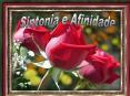 Textos referentes a afinidade e sintonia Ora, os bons t 