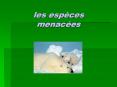 les esp ces menac es Les 10 esp ces animales les plus mena