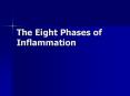The Eight Phases of Inflammation The Eight Phases o