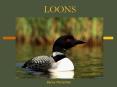 LOONS Becky Marischen Taxonomy GAVIIFORMES GAVIIDAE Gavi