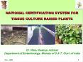 Plant Tissue Culture Plant Tissue Culture   an essentia