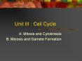 Unit III : Cell Cycle A: Mitosis and Cytokinesis B: Meiosi