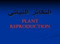 Plant Reproduction  -                Vegetative reproductio