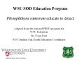 WSU SOD Education Program Phytophthora ramorum educate t