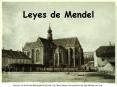 Leyes de Mendel Gregorio Mendel Publica sus  Experimentos d