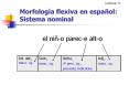 Lectura 11 Morfolog a flexiva en espa ol: Sistema nominal e